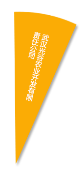 首页- J9集团国际站官网入口